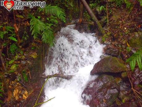 Discovering Jabuyo Falls