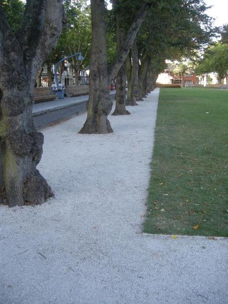 Warrior Square, Southend-on-Sea - Existing Trees in CEDec