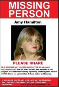 Amy Hamilton trafficking hoax