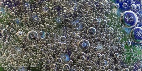 Tiny Bubbles, bubbles, abstract, macro, macro photography, oil and water, blue