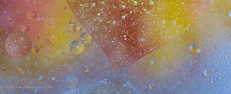 Tiny Bubbles, bubbles, abstract, macro, macro photography, oil and water, pastels,
