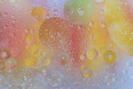 Tiny Bubbles, bubbles, abstract, macro, macro photography, oil and water, pastels,