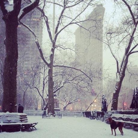 The eye of the storm flatiron_park