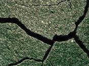 Vatican Survey Catholics Synod Family: More Evidence (England, Wales, Canada) "Huge Gap" Between Magisterial Teaching People