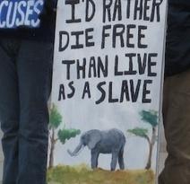 When The Circus Comes To Town