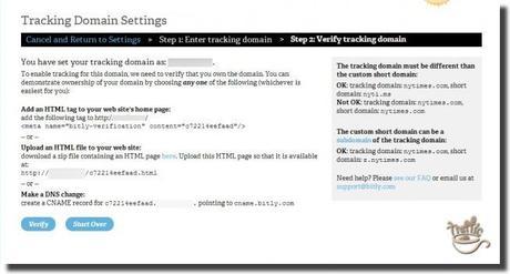 verify tracking domain settings
