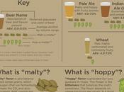 Infographic Provides Guidance Non-craft Beer Drinkers