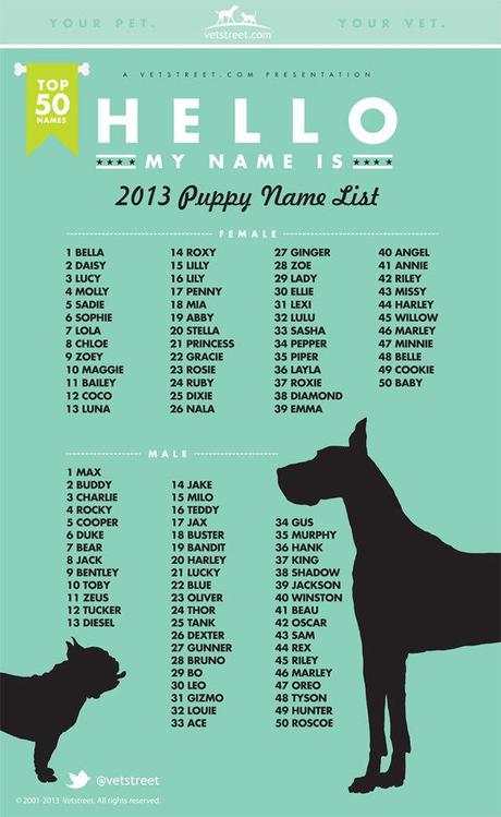 top dog names