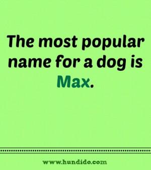naming the dog