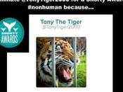 TODAY LAST VOTE TONY Captive TIGERS!