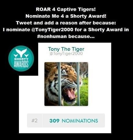 TODAY Is The LAST DAY To VOTE For TONY & Captive TIGERS!