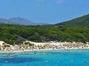 Warren's Birthday Debate; Holiday Watch?!