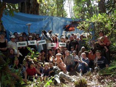 ACT NOW | WA FOREST ALLIANCE