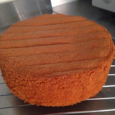 Mandarin Orange  spongecake