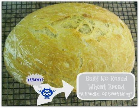 Easy No Knead Wheat Bread