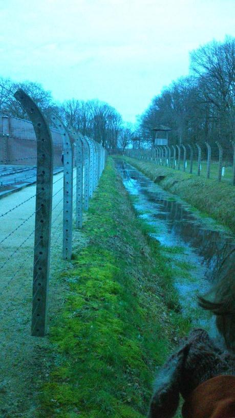 In Love with Amsterdam In Love with Amsterdam