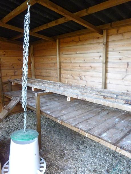 Modifying the Henhouse