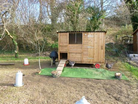Modifying the Henhouse