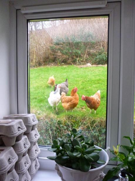 Ooh Look, Tasty Worms ......