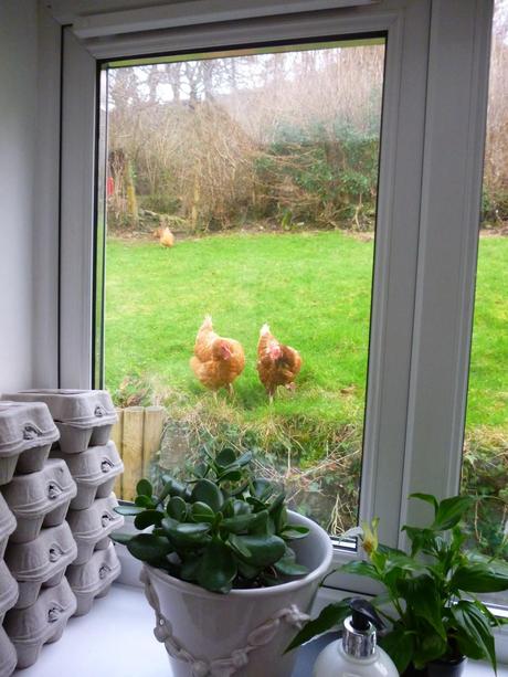 Ooh Look, Tasty Worms ......