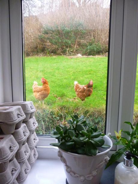 Ooh Look, Tasty Worms ......