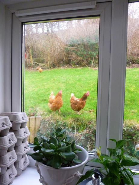 Ooh Look, Tasty Worms ......