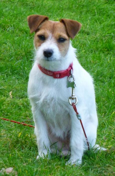 Anyone Else Called Mavis ......