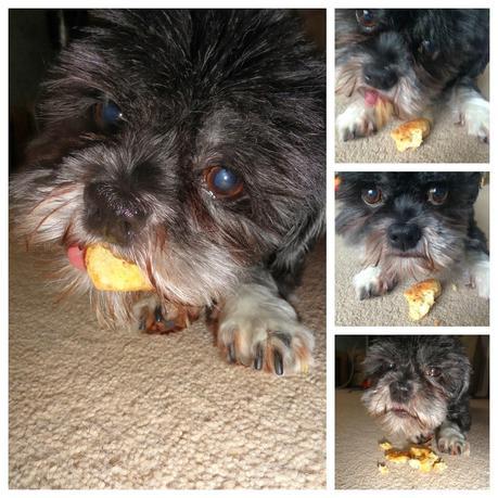 Review: Top Collar Review: Top Collar