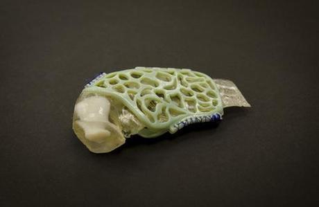 Injured sea turtle? Just print a splint!