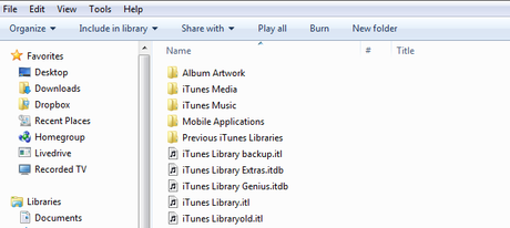 Find your iTunes Library on your computer.
