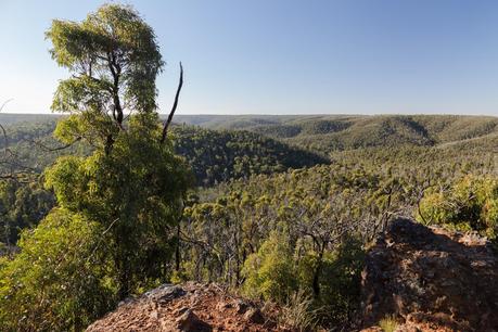 view across anakie gorge and brisbane ranges national park