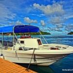 Impact Tours Boat