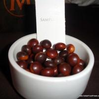 Choco chips samples (1)