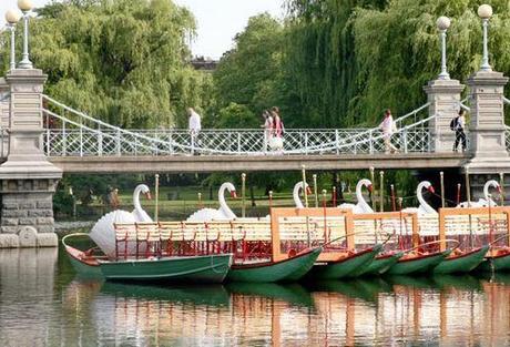 Swan Boats in the Boston Public Garden