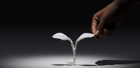 Animal Tissue Animal-Tissue-By-Yuki-Ariga9