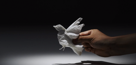 Animal Tissue Animal-Tissue-By-Yuki-Ariga12