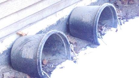 Horse buckets as nesting boxes. 