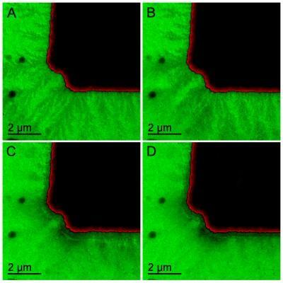 A new in situ transmission electron microscopy technique enabled ORNL researchers to image the snowflake-like growth of the solid electrolyte interphase from a working battery electrode