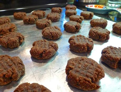 Raspberry Chocolate Drop Cookies with Coconut Icing (Paleo, SCD, Dessert)