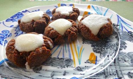 Raspberry Chocolate Drop Cookies with Coconut Icing (Paleo, SCD, Dessert)