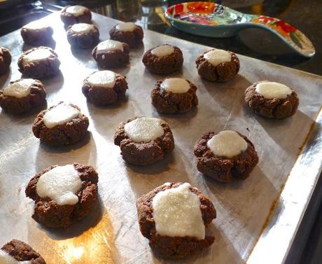 Raspberry Chocolate Drop Cookies with Coconut Icing (Paleo, SCD, Dessert)