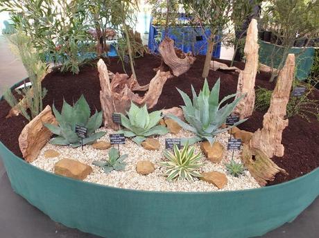 RHS Plant and Design Show