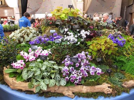 RHS Plant and Design Show