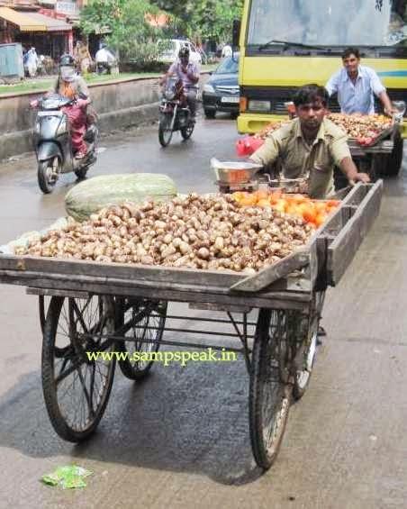 falling Onion prices ..easing inflation and SC banter ....