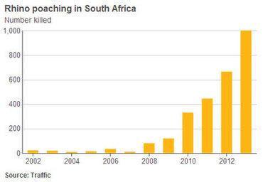 Organized crime sets sights on wildlife