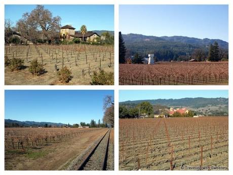 Second Date on the Napa Valley Wine Train