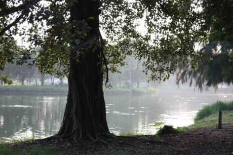 Taken in October of 2012 in Ayutthaya. 