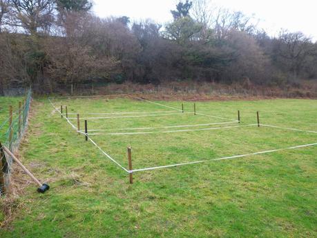 Planning and a Hurdling Pug