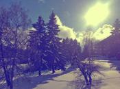 Greetings from Paradise