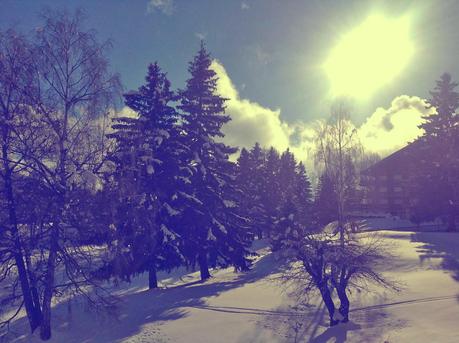 Greetings from Paradise